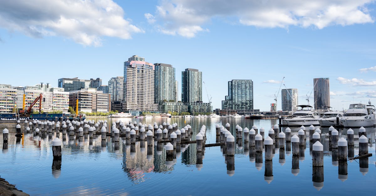 A Guide to Wildlife Spotting While Boating in Gippsland Lakes