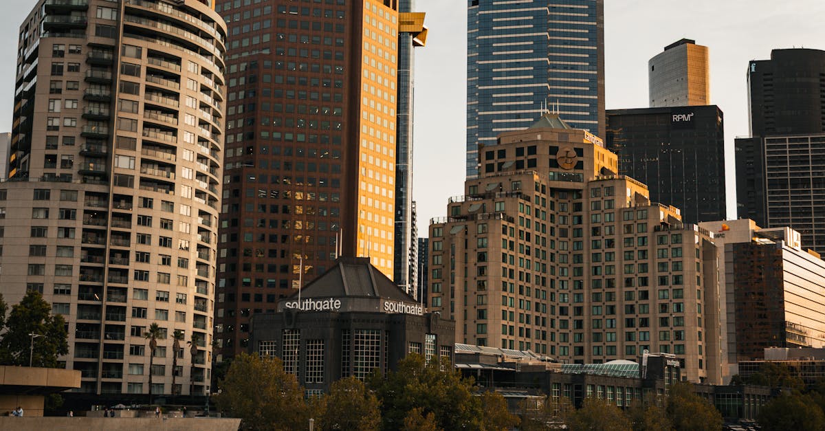 A Guide to Wildlife Watching in Port Phillip Bay by Boat