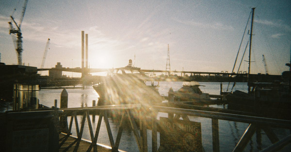 Family-Friendly Activities Around Gippsland Lakes for Boat Hire